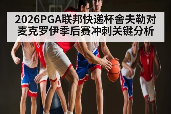 2026PGA联邦快递杯舍夫勒对麦克罗伊季后赛冲刺关键分析